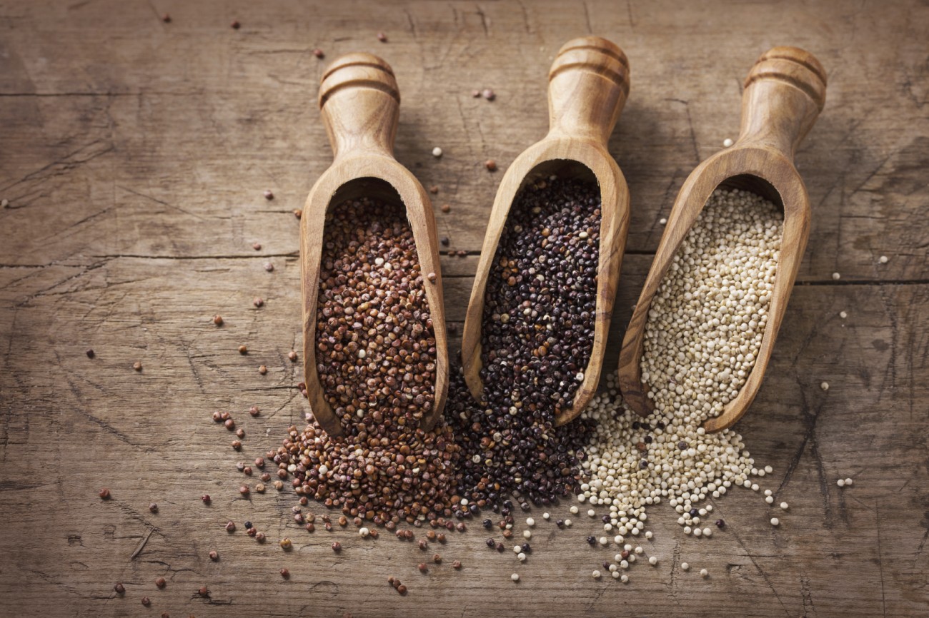 Tout-savoir-sur-le-roi-quinoa